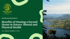 Benefits of Owning a Second Home in Nature: Mental and Physical Health