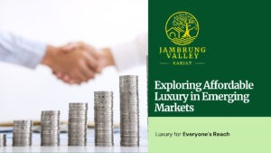 Exploring Affordable Luxury in Emerging Markets